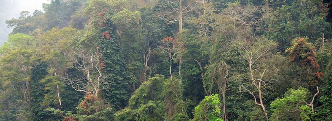 BABE NATIONAL PARK 3 DAYS 2 NIGHTS